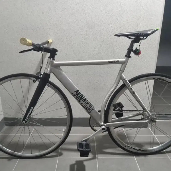 [BUNJANG] Ecologics Rhapsody Lightweight Bicycle / 에콜로직스 랩소디 라이트웨이트 급처