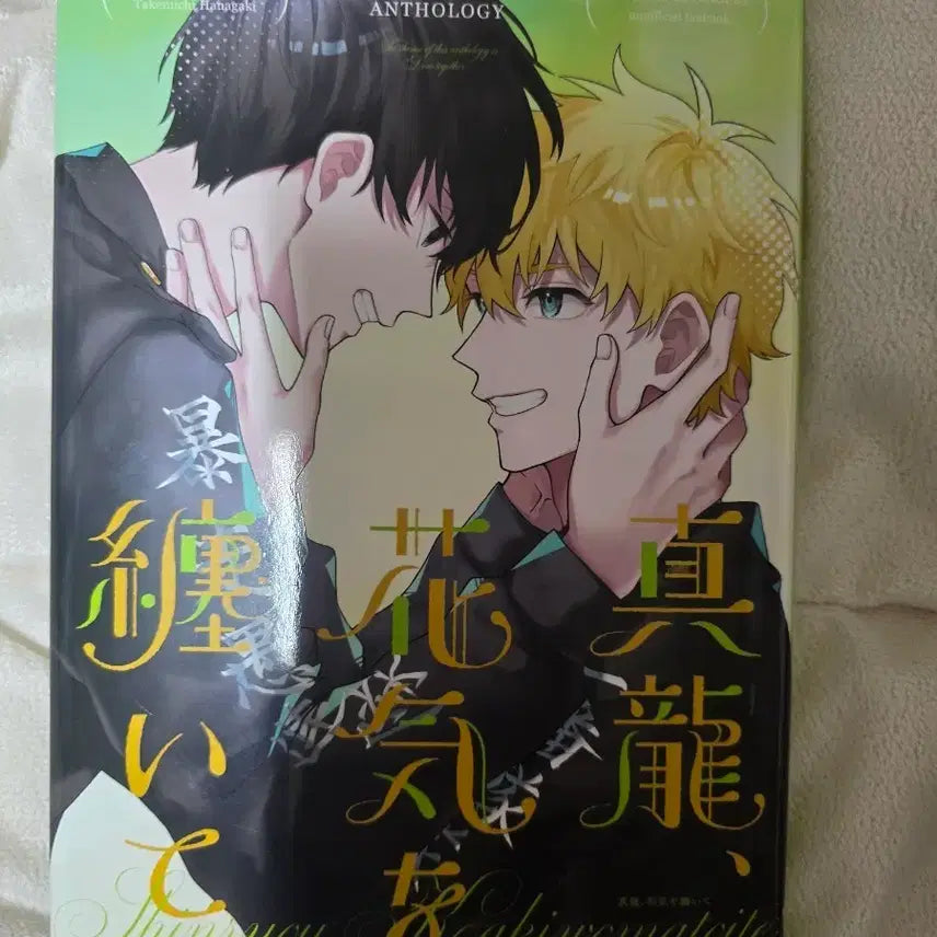[BUNJANG] Shintake Japanese Anthology Artbook / 신타케 일본 엔솔로지 회지(글/그림)