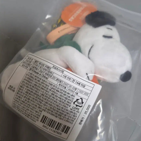 [BUNJANG] Starbucks Pumpkin Peanut Keychain / 스타벅스 펌킨 피너츠 키체인