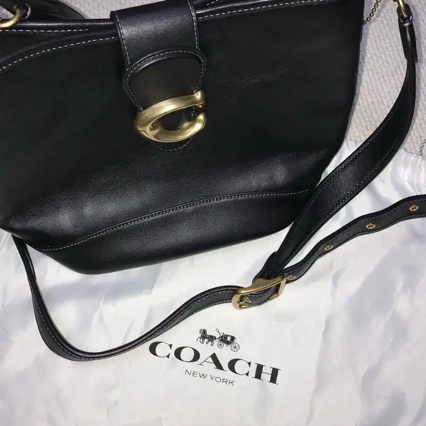 [BUNJANG] Coach Tally Bucket Bag Black / [Coach] 코치 탈리 버킷백 / 블랙, 금장