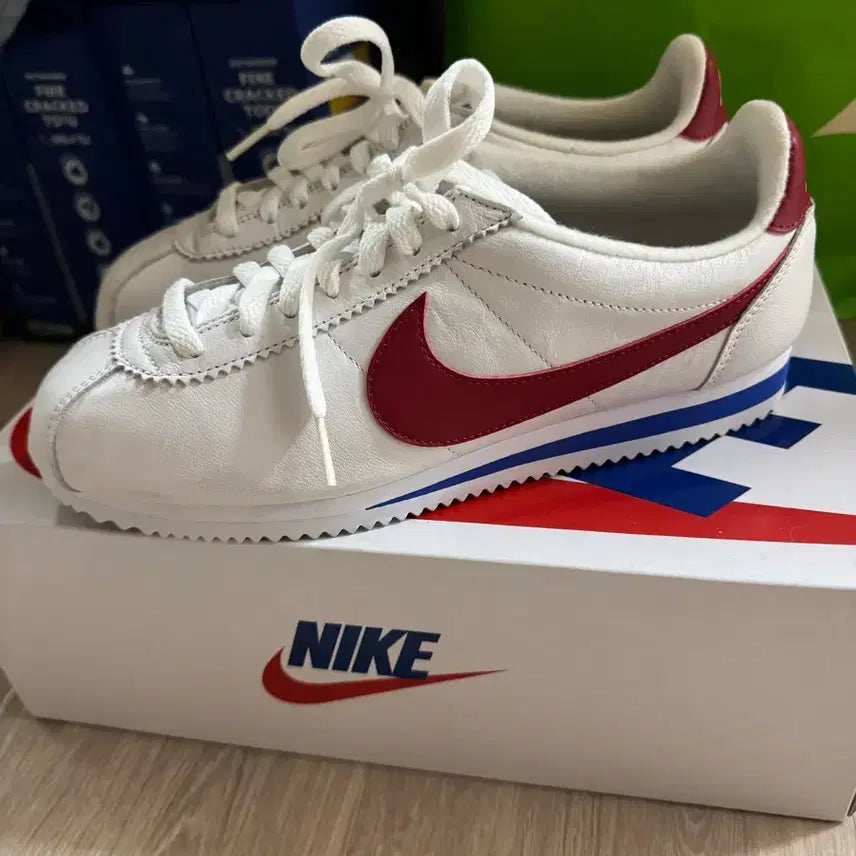 [BUNJANG] Nike Cortez "Forrest Gump" / 나이키 코르테즈 포레스트 검프