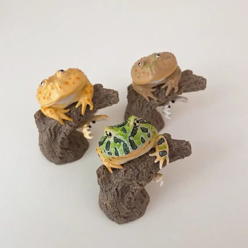 [BUNJANG] Bandai Finger Creature Collection Gacha Frogs 3 Types Bundle Set / [일괄] 반다이 생물대도감 손가락 위 컬렉션 가챠 개구리 3종