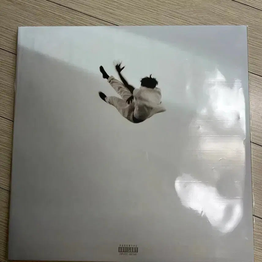 [BUNJANG] Daniel Caesar Pilgrim's Paradise LP Mocha Color / 세컨드 트랙  다니엘 시저 pilgrim's paradise LP 모카색