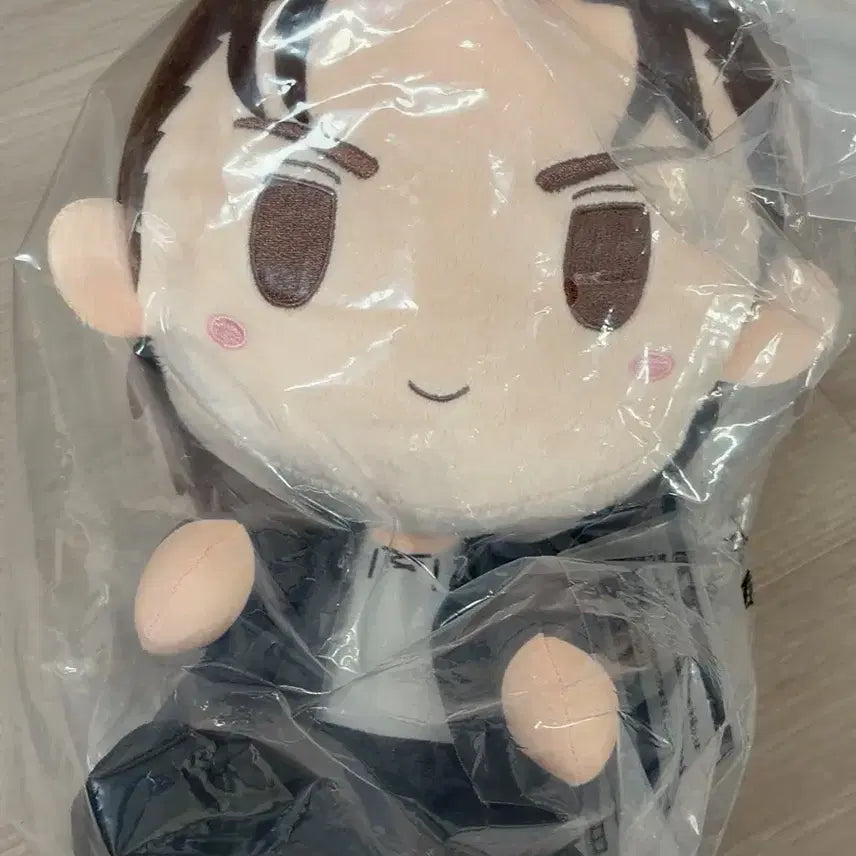 [BUNJANG] Attack on Titan Eren Plush / 진격의거인 제일복권 A상 에렌인형 팝니다