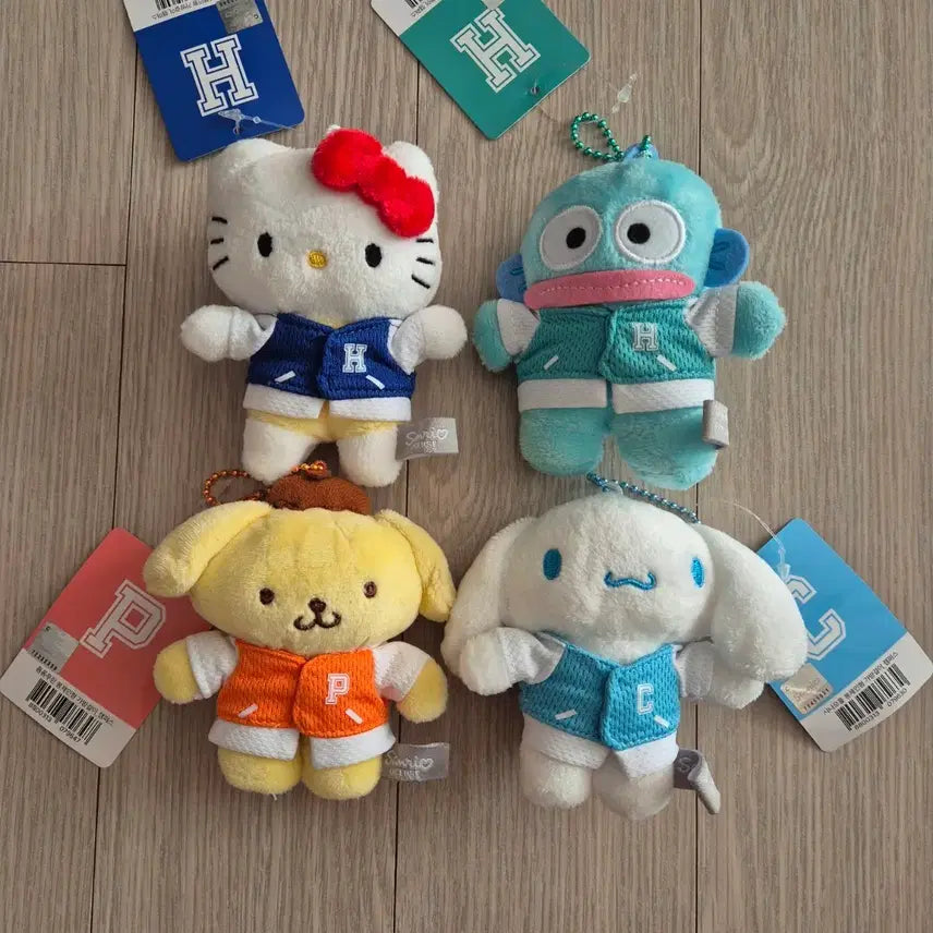 [BUNJANG] Sanrio Characters Campus Keyring - Hello Kitty, Hangyodon, Pompompurin, Cinnamoroll / 산리오 캐릭터 캠퍼스 키링 헬로키티 한교동 폼폼푸린 시나모롤