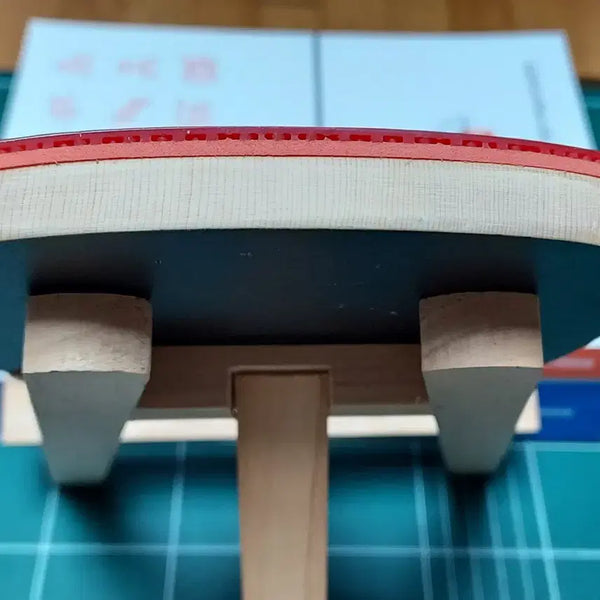 [BUNJANG] TSP Dynam Special Custom Hinoki 10.5mm Penhold Racket / 펜홀더 다이남 스페셜  특주