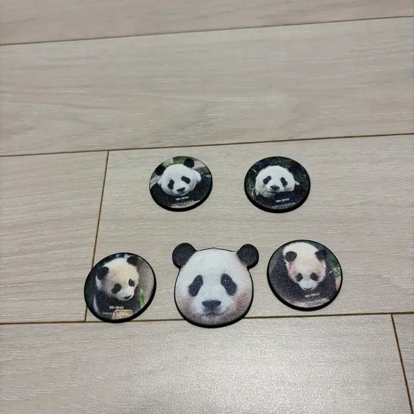 [BUNJANG] Bao Family Smith & Leather Magnet Bundle Set / 바오패밀리 스미스앤레더 마그넷 + 바오패밀리 마그넷 = 일괄판매