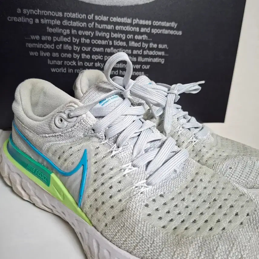 [BUNJANG] Nike React Infinity Run Flyknit 2 Men's Running Shoes (280mm / US 10) / [나이키 정품 / 전투용 파격가] 리액트 인피니티 런 플라이니트 2 (280mm / US 10)