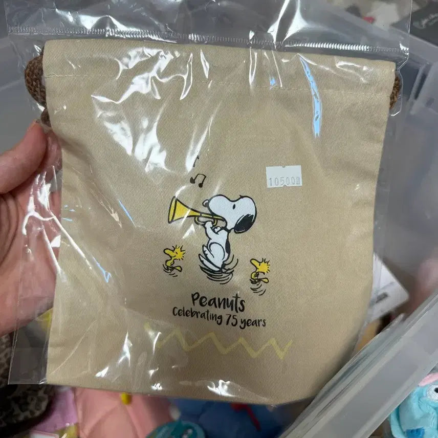 [BUNJANG] Snoopy Pouch / 스누피 파우치