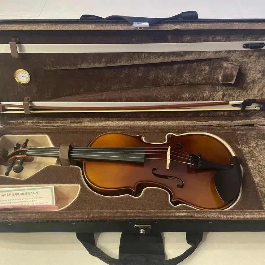[BUNJANG] Hyojeong Violin HV-100 4/4 / 효정 바이올린 HV-100 4/4