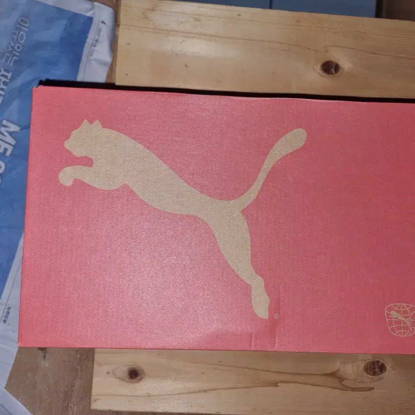 [BUNJANG] Puma Authentic Soccer Cleats / 퓨마 정품 축구화 팝니다
