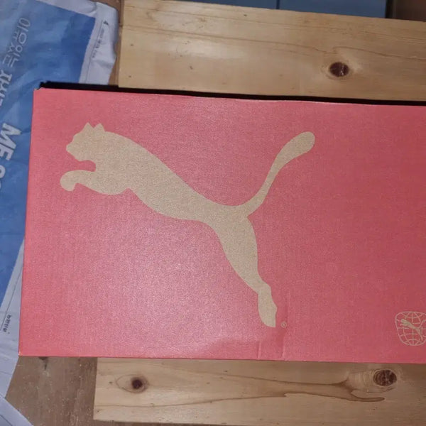 [BUNJANG] Puma Authentic Soccer Cleats / 퓨마 정품 축구화 팝니다