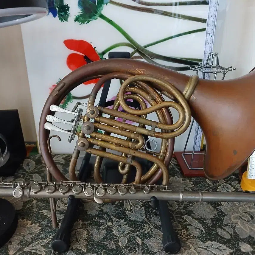 [BUNJANG] Horn and Flute Instrument Set / 호른 플룻 악기 세트