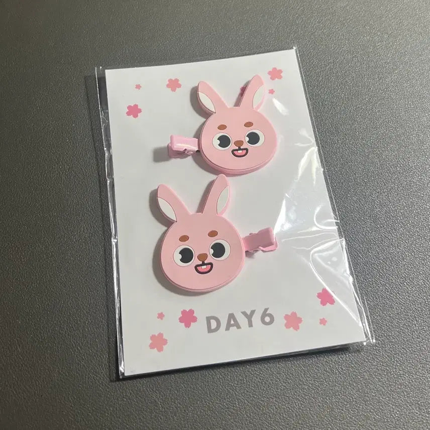 [BUNJANG] DAY6 Wonpil Hairpin / 요코하마 원필 머리핀