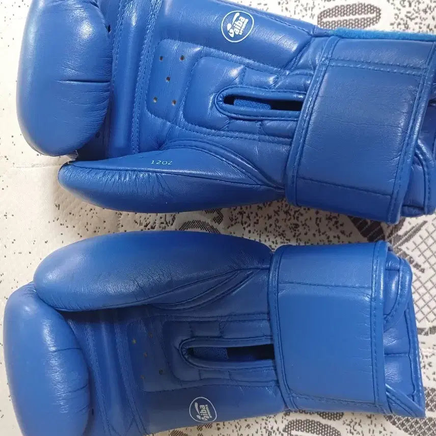 [BUNJANG] WISHING Boxing Gloves Blue 12oz / 위싱 글러브 블루 12oz