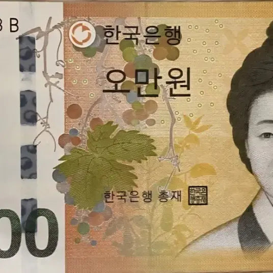 [BUNJANG] 50,000 Won Banknote - Antique Collectible / 레이더 5만원귄