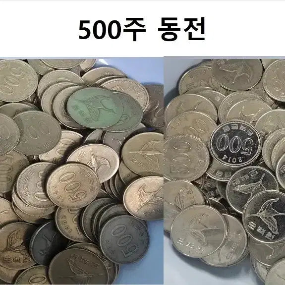 [BUNJANG] 1982 & 2014 500 Won Coin Collection / [500주 동전] 82,14년 개별수량 판매