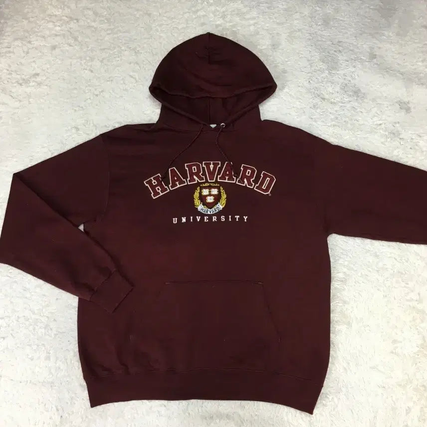 [BUNJANG] Champion Harvard Hoodie / 챔피온 하버드 후드티 II17