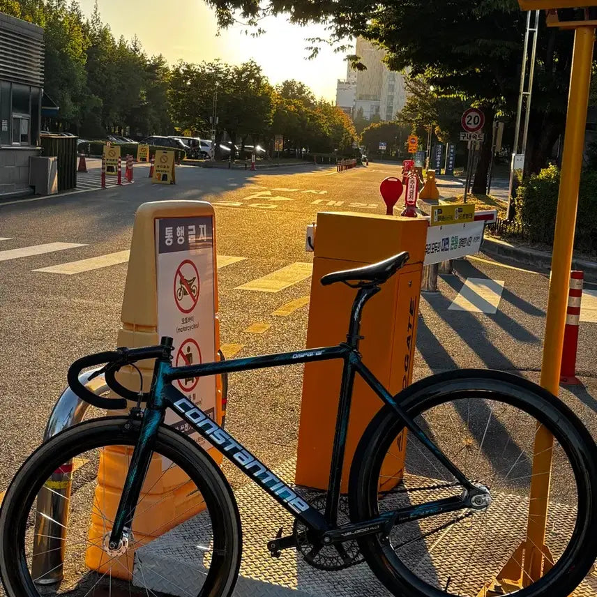 [BUNJANG] Constantine Disferear Marble Blue M Frame Bicycle / 콘스탄틴 디스페랄