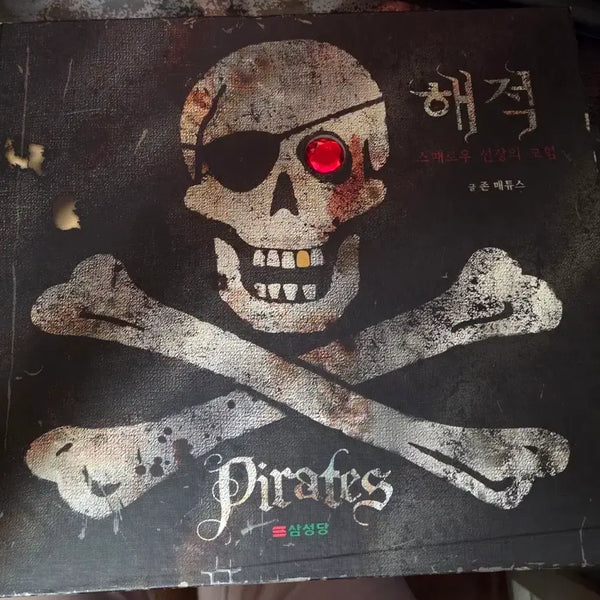 [BUNJANG] Pirates: Captain Sparrow's Adventures Book / 책: 해적 스패로우 선장의 모험