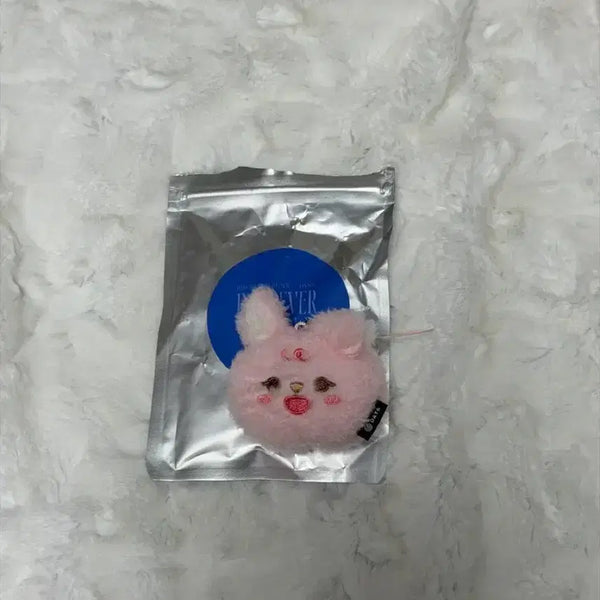 [BUNJANG] DAY6 Wonpil Denimals Secret Mini Face Keyring / 데니멀즈 시크릿 미니 페이스 키링 쁘멀 필끼 필 데이식스 원필