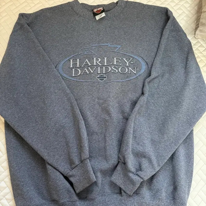 [BUNJANG] Harley-Davidson Blue-Grey Sweatshirt / 할리데이비슨 블루그레이 맨투맨