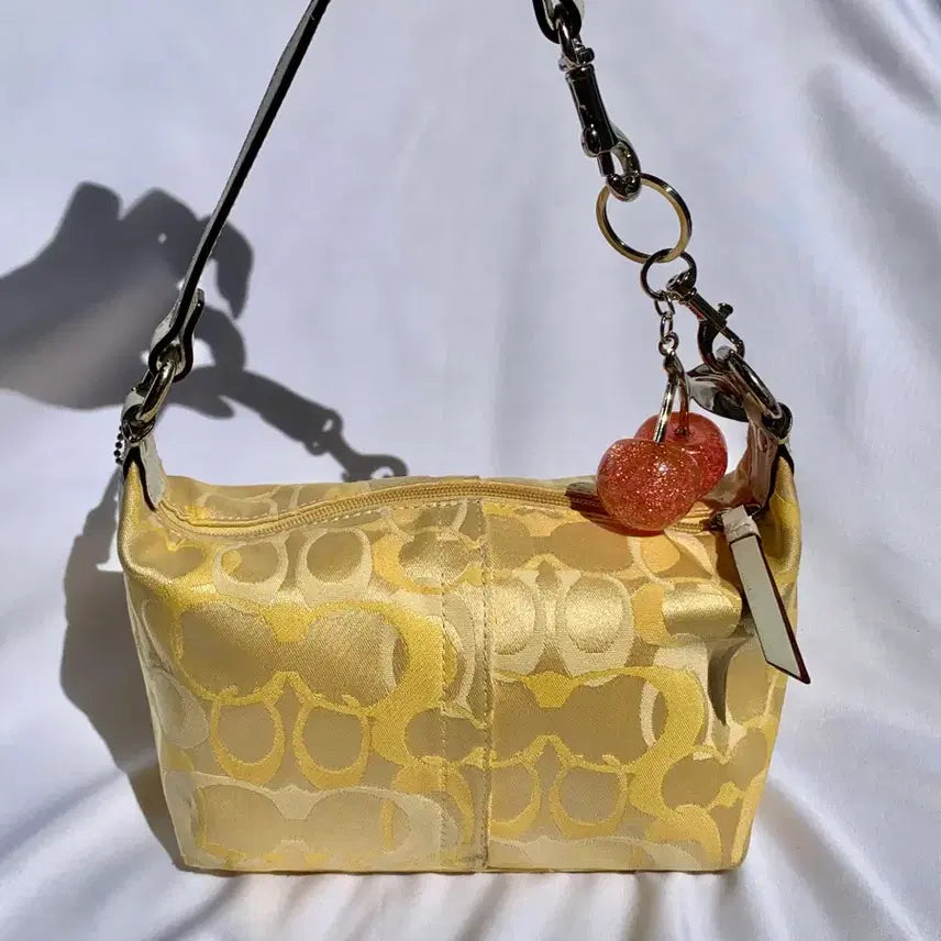 [BUNJANG] Vintage Coach Lemon Mini Pouch Bag / 초희귀 )) Coach 빈티지 코치 레몬 미니 파우치백
