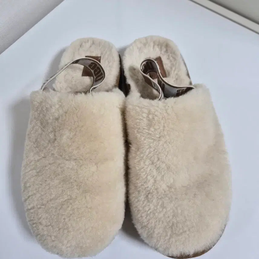 [BUNJANG] UGG Mule Beige / 어그 뮬 베이지색
