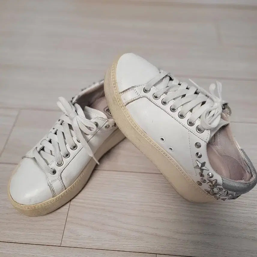 [BUNJANG] ASH White Sneakers 230-235mm / ASH 아쉬 화이트 스니커즈 운동화 230~235mm 롯데백화점구입