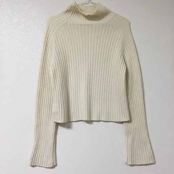 [BUNJANG] SIE Ribbed Turtleneck Knit F / SIE 시에 리브드 터틀넥 니트 F
