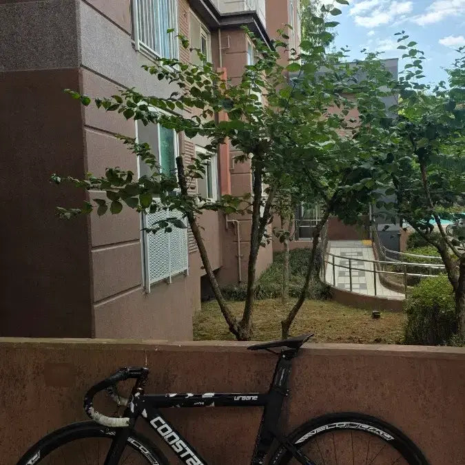 [BUNJANG] Constantine Urbain Pixie Bicycle / 콘스탄틴 어베인 픽시 자전거