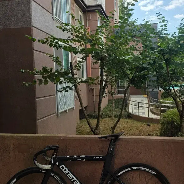 [BUNJANG] Constantine Urbain Pixie Bicycle / 콘스탄틴 어베인 픽시 자전거