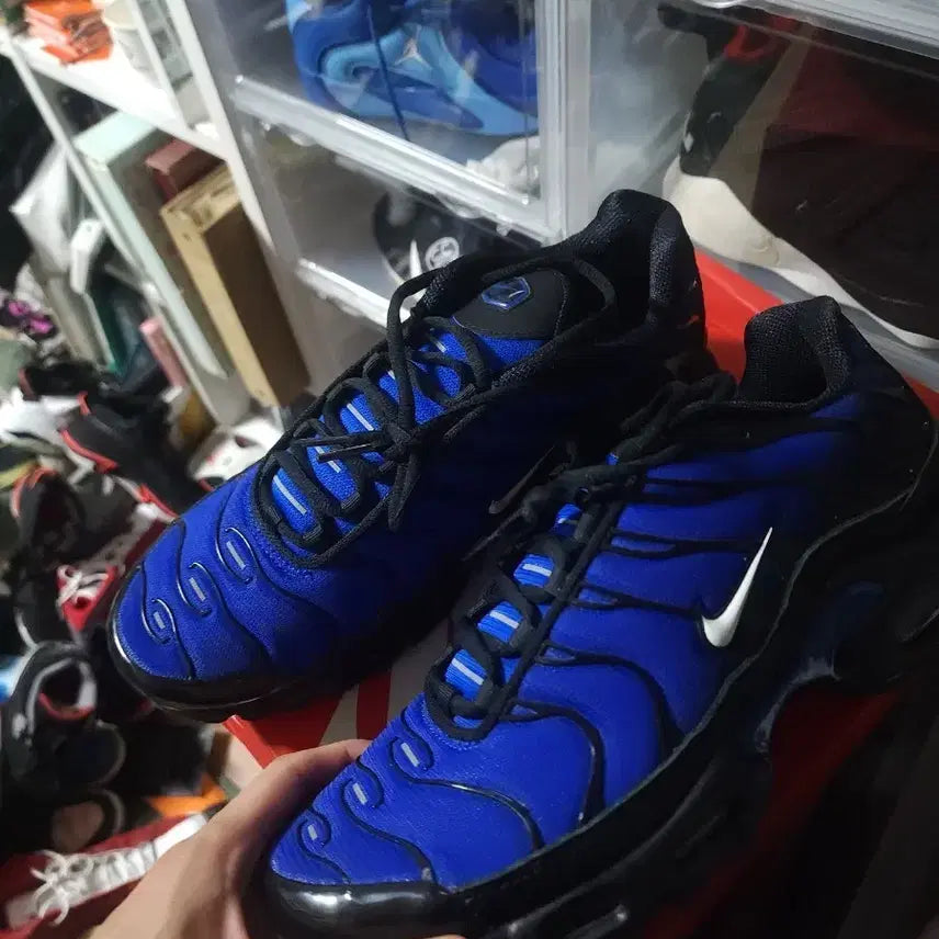 [BUNJANG] Nike Air Max Plus Phantom Racer Blue / 나이키 에어맥스 플러스 285 팬텀 레이서 블루