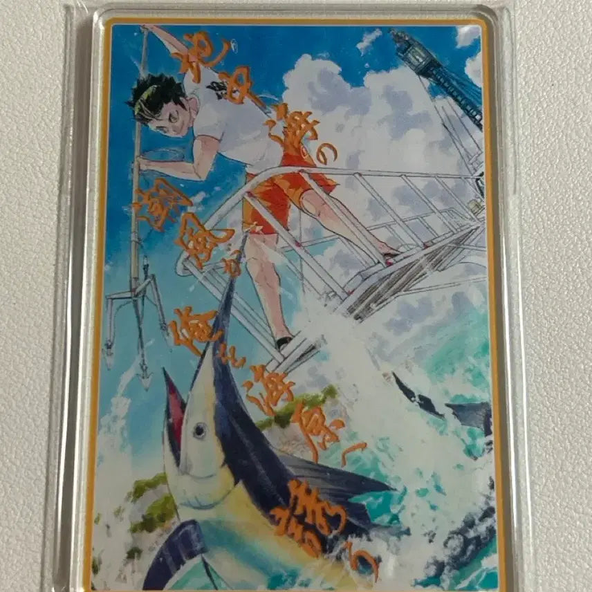 [BUNJANG] Haikyuu!! Acrylic Card / 하이큐 아크릴 카드