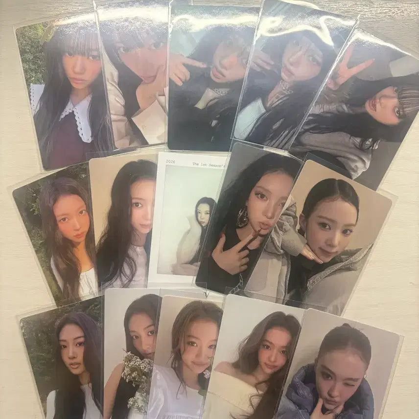 [BUNJANG] Miyauchi Leon Bundle Set Photocard / 미야오 포카 15장 일괄