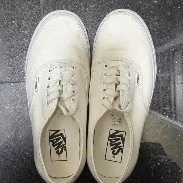 [BUNJANG] Vans Core Classic Authentic White 245 / 반스 코어클래식 어센틱 화이트 245