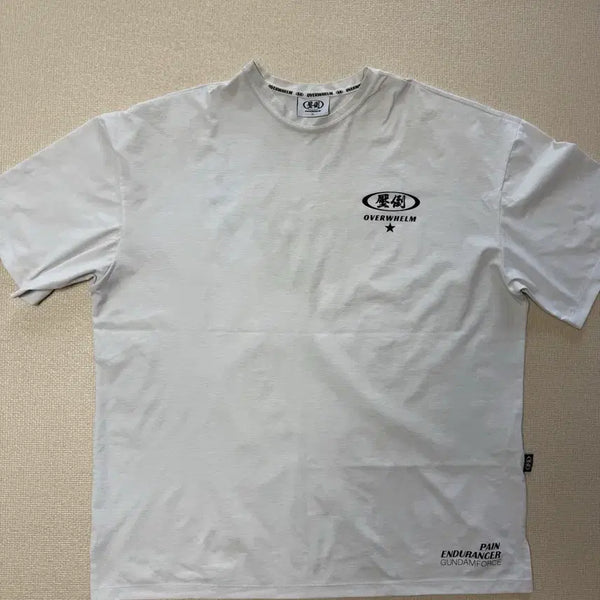 [BUNJANG] XL Oversized T-Shirt / [XL]압도 반팔 티셔츠