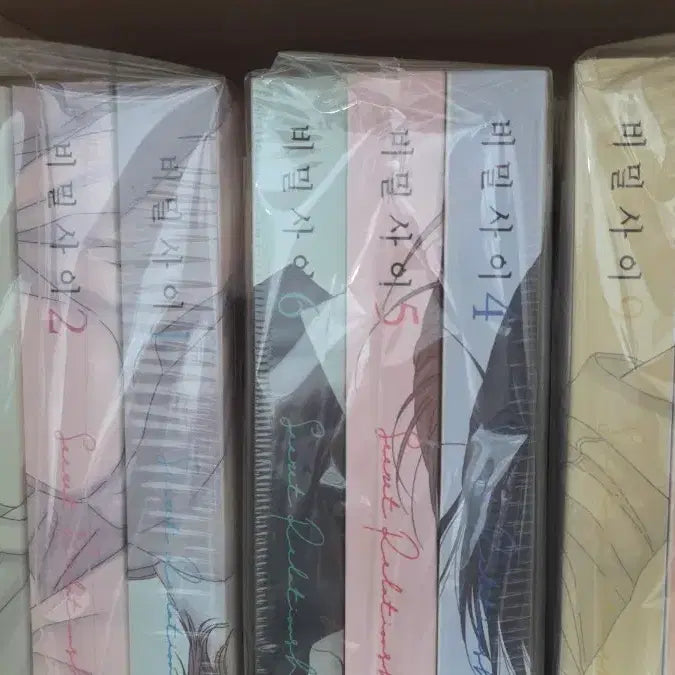 [BUNJANG] Secret Relationship Complete Set (Volumes 1-9) with Tin Case / 비밀사이 1~9 틴케이스 포함