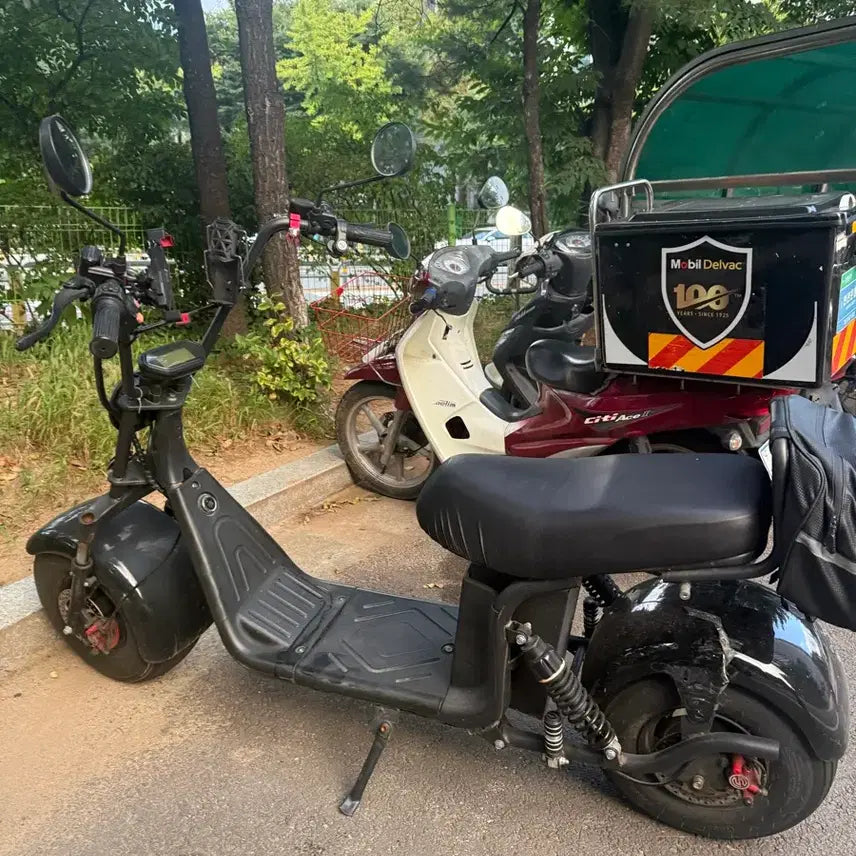[BUNJANG] Harley Electric Scooter (48Ah) / 할리 전동 스쿠터