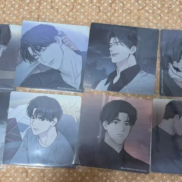 [BUNJANG] Payback 8 Types Bundle Set Photocard / 모펀 페이백 코스터 8종 일괄 payback 포카 봄툰