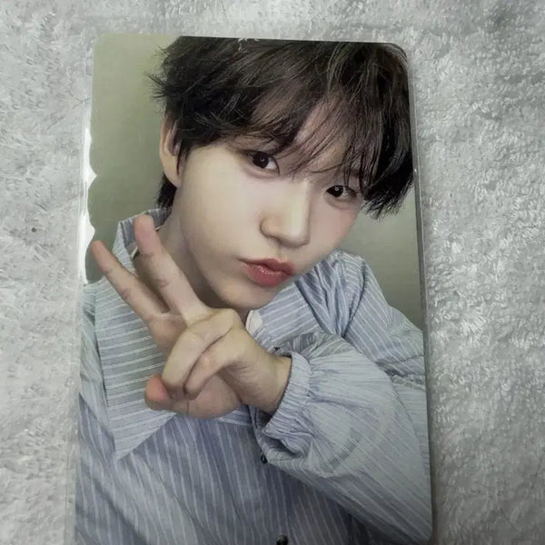[BUNJANG] NCT WISH Jaehee Photocard / 엔시티 위시 재희 포카
