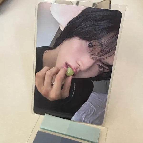 [BUNJANG] RIIZE Wonbin DICON Ver. A Grape Photocard / 라이즈 원빈 디아이콘 A버전 청포도 포카