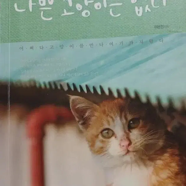 [BUNJANG] No Bad Cats Book / 서적 나쁜 고양이 없다