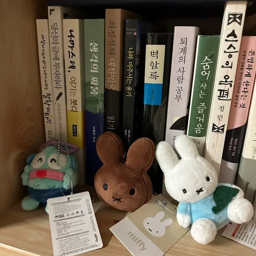 [BUNJANG] Hanhyo Dong Miffy Sunglasses Charm / 썬구리 한교동, 브라운 미피, 블루 미피 키링
