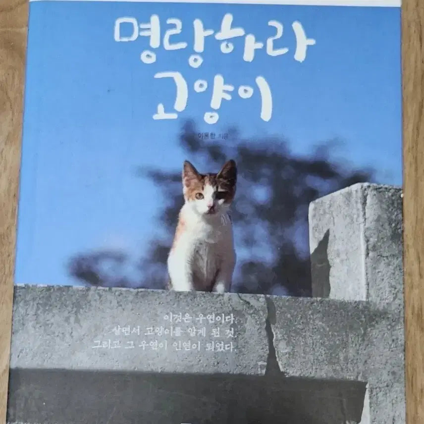 [BUNJANG] Cheer Up, Cat! Book / 서적 명랑하다 고양이