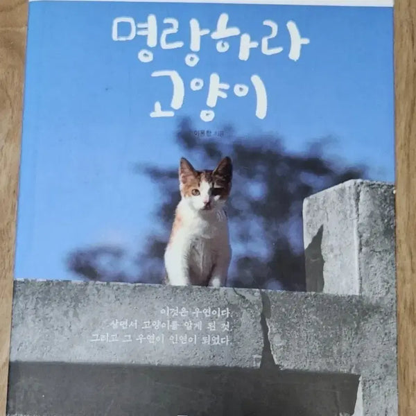 [BUNJANG] Cheer Up, Cat! Book / 서적 명랑하다 고양이
