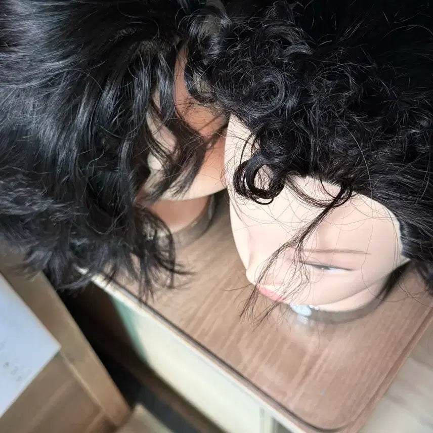 [BUNJANG] Layered Full Wig / 레이어 통가발