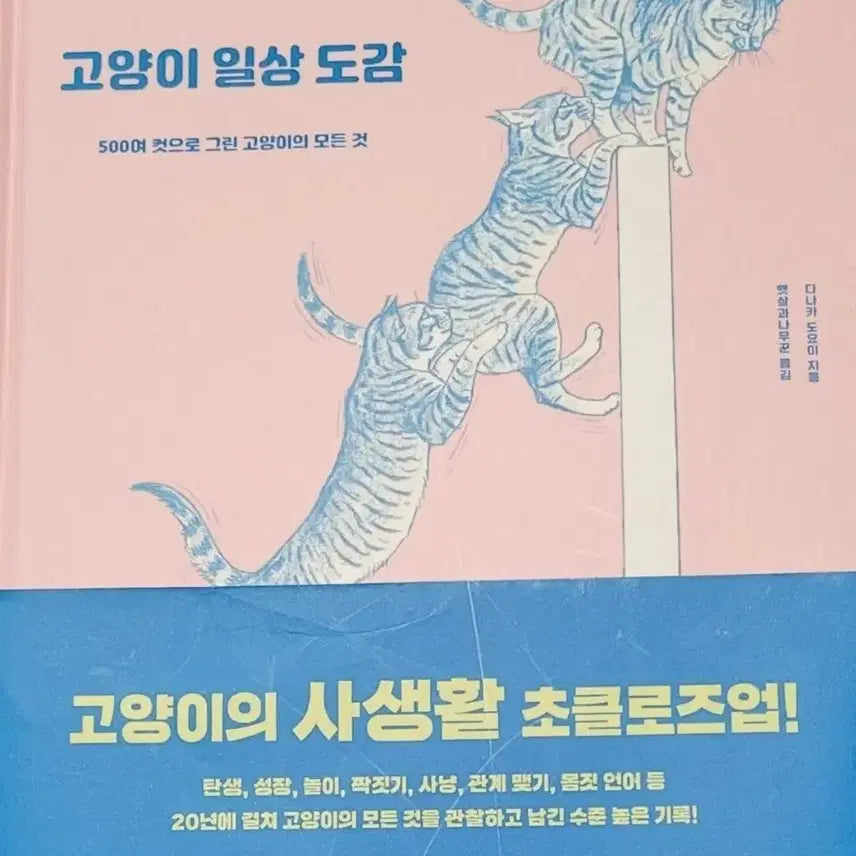 [BUNJANG] Cat Everyday Encyclopedia Book / 고양이 관련 서적 고양이 일상도감