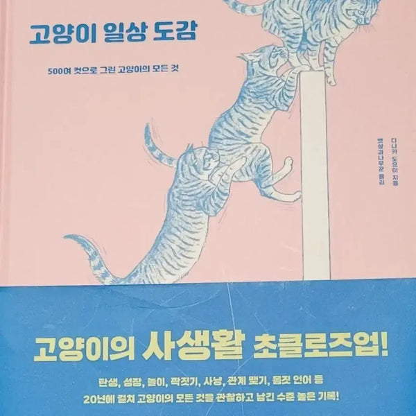 [BUNJANG] Cat Everyday Encyclopedia Book / 고양이 관련 서적 고양이 일상도감