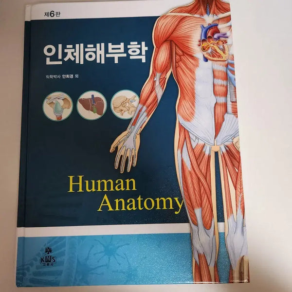 [BUNJANG] Gomunsa Anatomy, 6th Edition / 고문사 인체해부학 제 6판